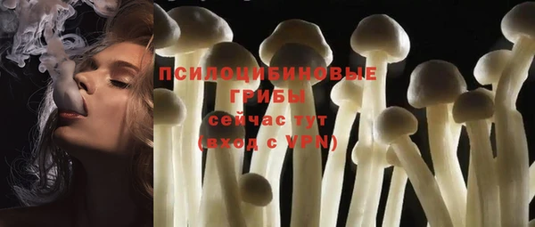 гидра Володарск