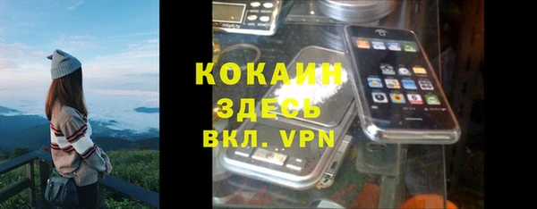 гидра Володарск