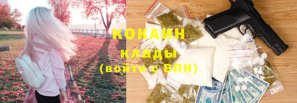 гидра Володарск