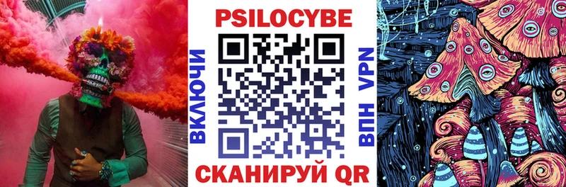 Галлюциногенные грибы Psilocybine cubensis  Гусев 